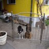 Geländer